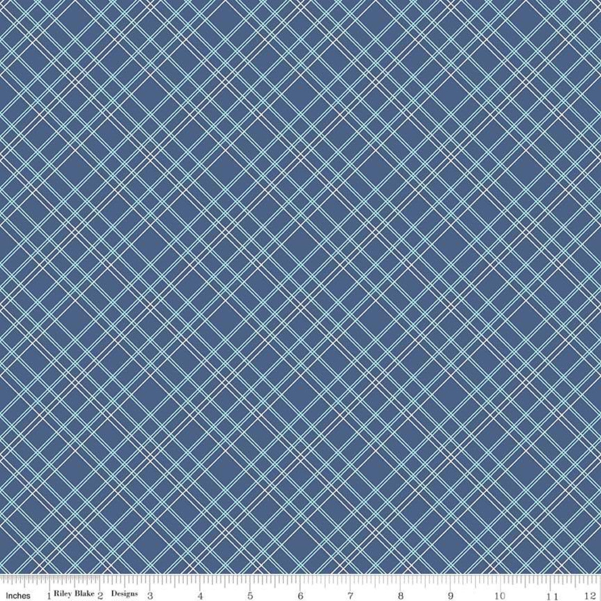 Bee Backings & Borders Plaid Blue 108" Wide Yardage Lori Holt