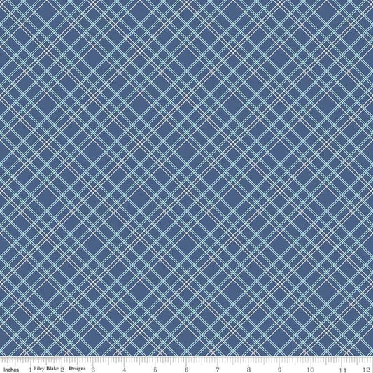 Bee Backings & Borders Plaid Blue 108" Wide Yardage Lori Holt