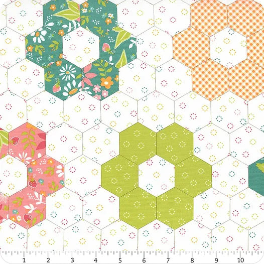 Strawberry Lemonade Cheater 60" Wide Yardage
